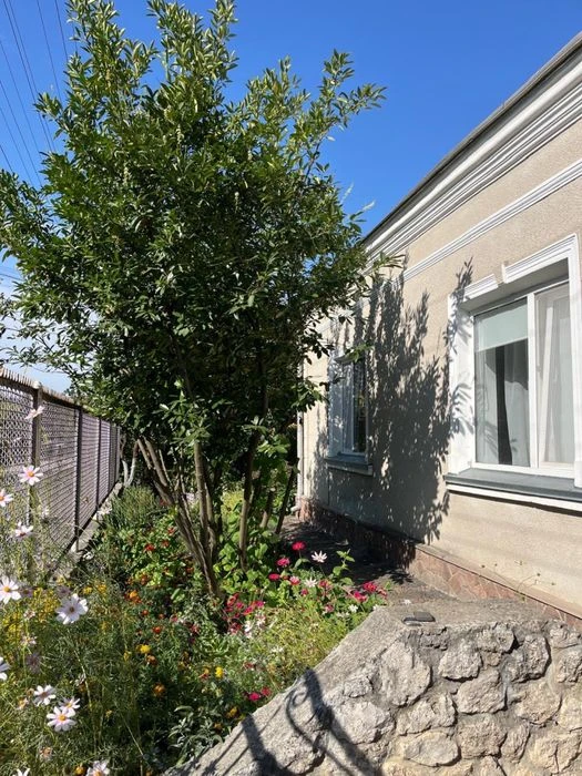 9 соток у центрі Тернополя • 2 будинки + літня кухня • Без к