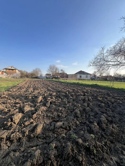 Продаж будинку з ділянкою в Кутківцях