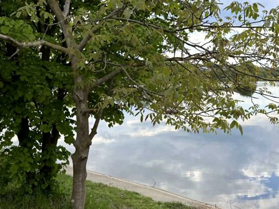 Будинок. Хмельницький, Селекційна вул.
