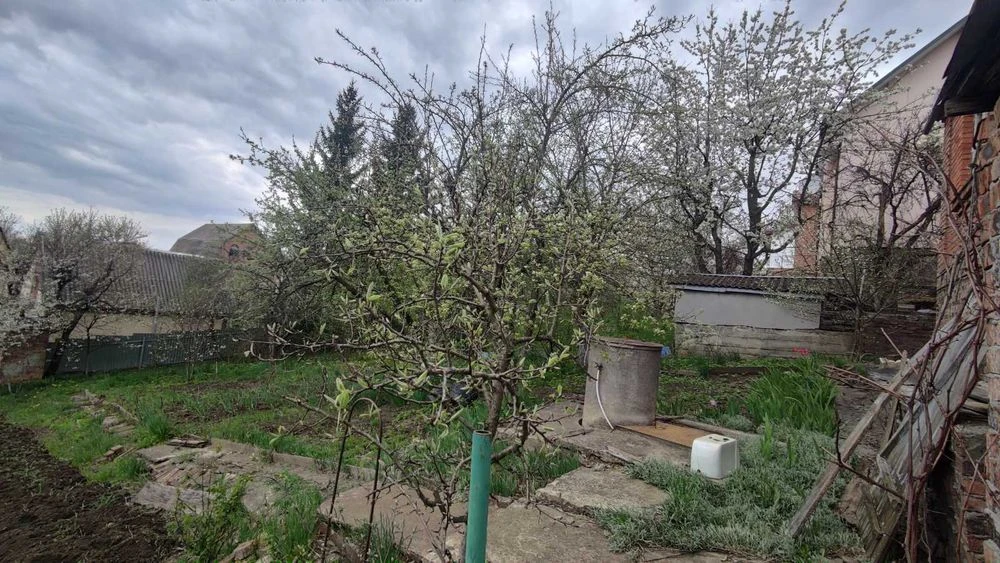 43768 Вигідна пропозиція у Ружичній — будинок із великим пот