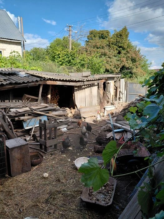 Продам  дом Новоселовка.