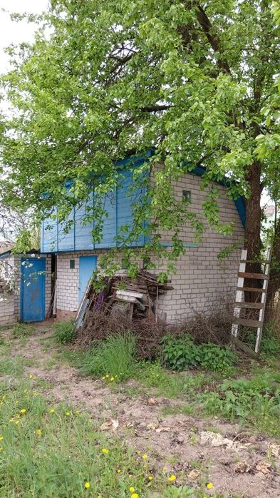 Дача з документами на будинок в передмісті Чернігова