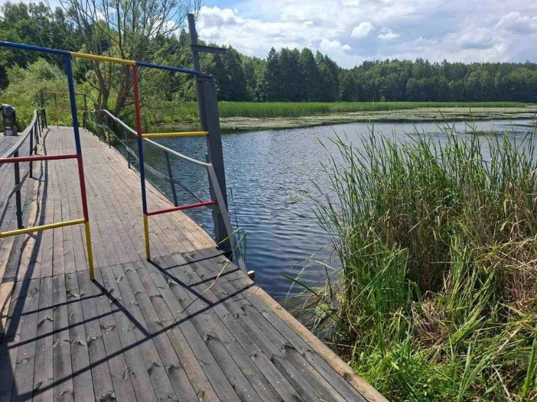 Будинок біля озера, с. Унучки, 25 соток землі v714