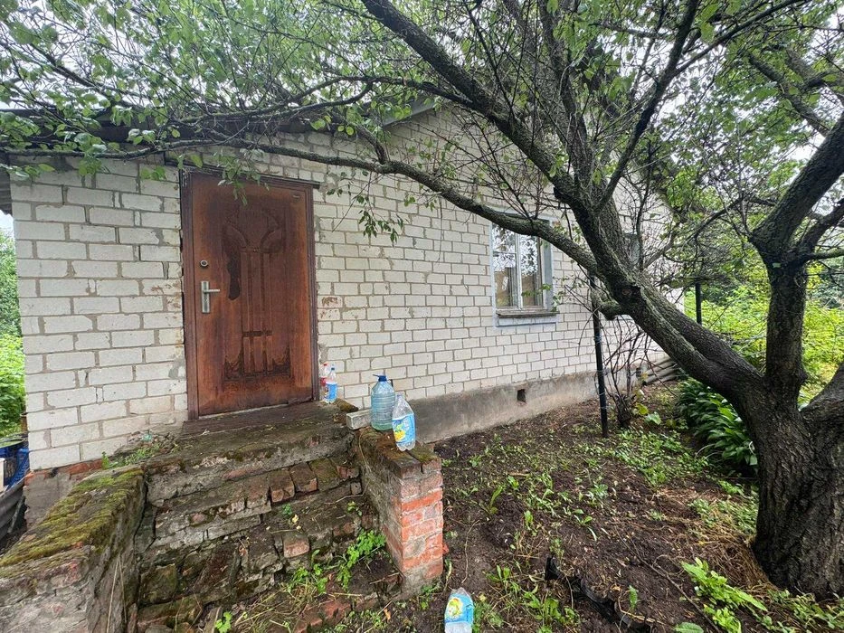 Будинок біля озера, с. Унучки, 25 соток землі v714