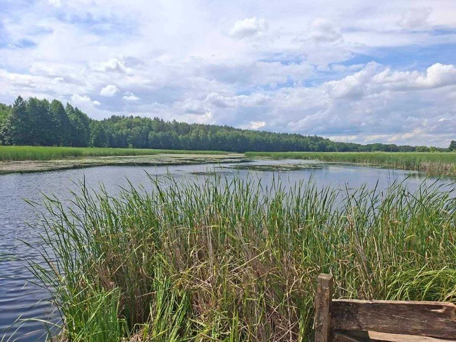 Будинок біля озера, с. Унучки, 25 соток землі v714