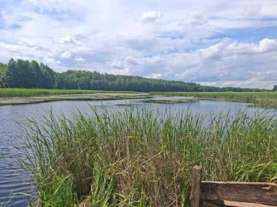 Будинок біля озера, с. Унучки, 25 соток землі v714