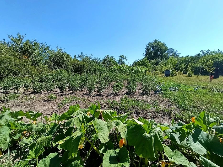 Продаж будинку для життя та відпочинку