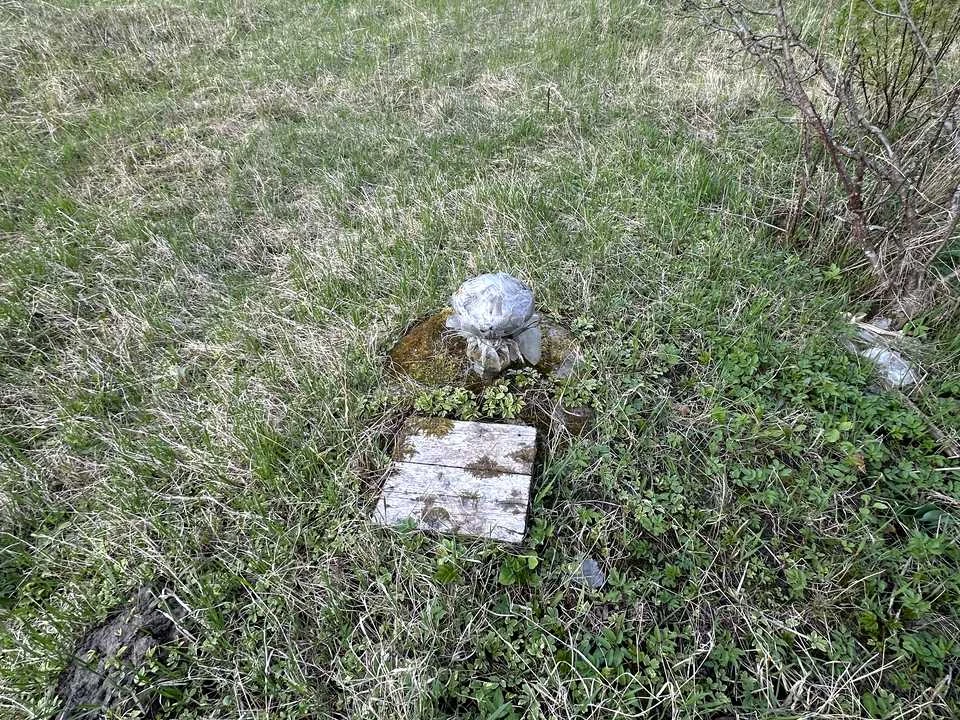 Будинок. Чернігів, Зелена вул.