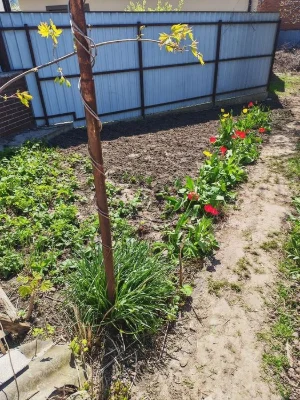 Продам півбудинку в центральній частині міста з окремою адре