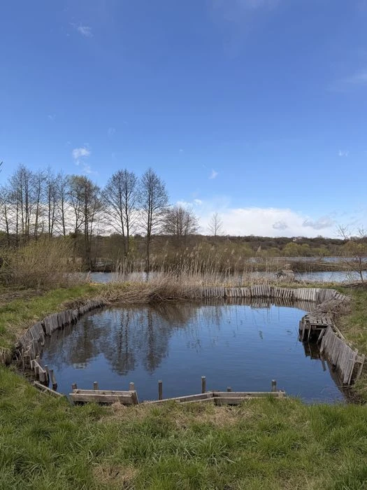 9 тис‼️ Капітальна дача з КАМІНОМ і копанкою