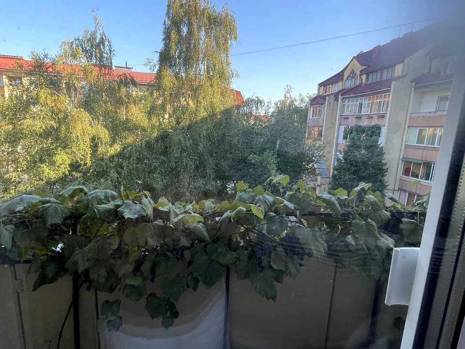 Квартира. Ужгород, Володимирська вул.