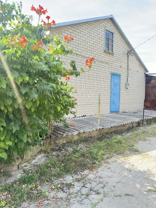 Продаж великого будинку Мирний, правий берег