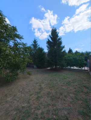 Sale of a solid house on 30 acres