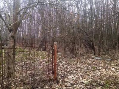 Продається дача з будиночком в Дем'янів ЛАЗ, який межує з лі
