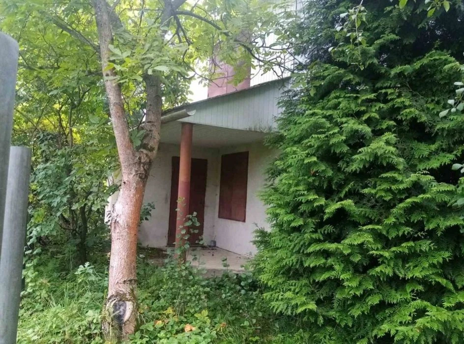 Продам дачний будинок в Дем'яновому Лазі, який межує з лісом