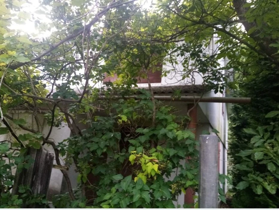Продам дачний будинок в Дем'яновому Лазі, який межує з лісом