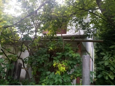 Продам дачний будинок в Дем'яновому Лазі, який межує з лісом