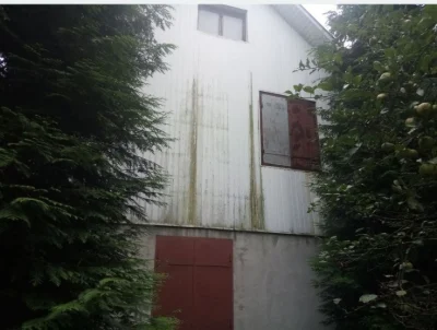Продам дачний будинок в Дем'яновому Лазі, який межує з лісом