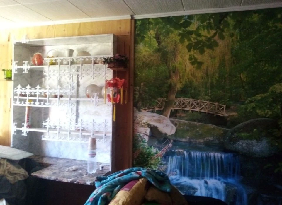 Продам дачний будинок в Дем'яновому Лазі, який межує з лісом
