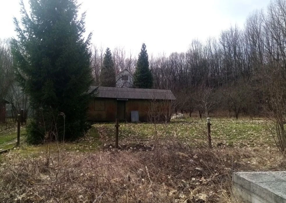 Продам дачний будинок в Дем'яновому Лазі, який межує з лісом