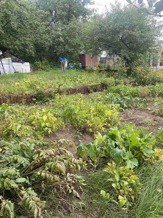 Продаж затишної дачі з приватизованою землею 5 соток біля рі