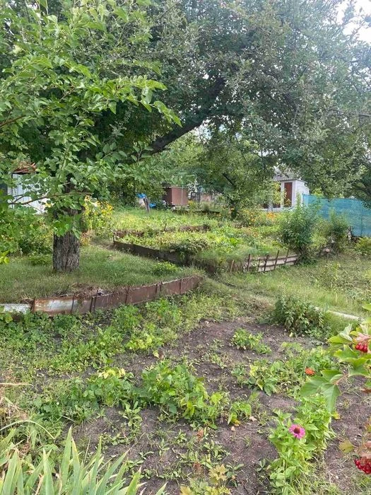 Продаж затишної дачі з приватизованою землею 5 соток біля рі