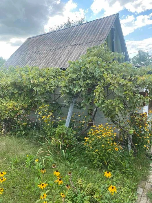 Продам дачу в мальовничому місці, поруч річка та ставок