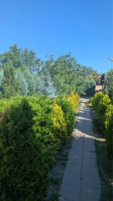 Штучний варіант для поціновувачів Подолу
