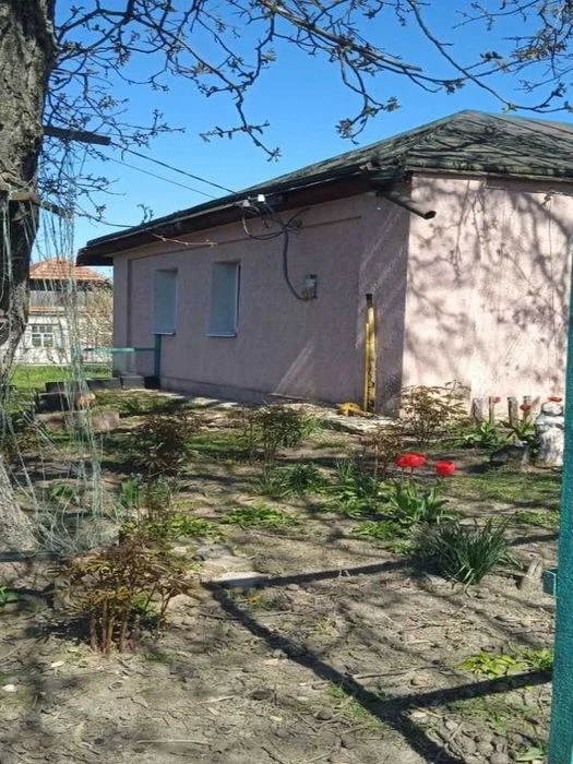 Продаж будинку | 60м² | 30 соток | жилий стан | передмістя П