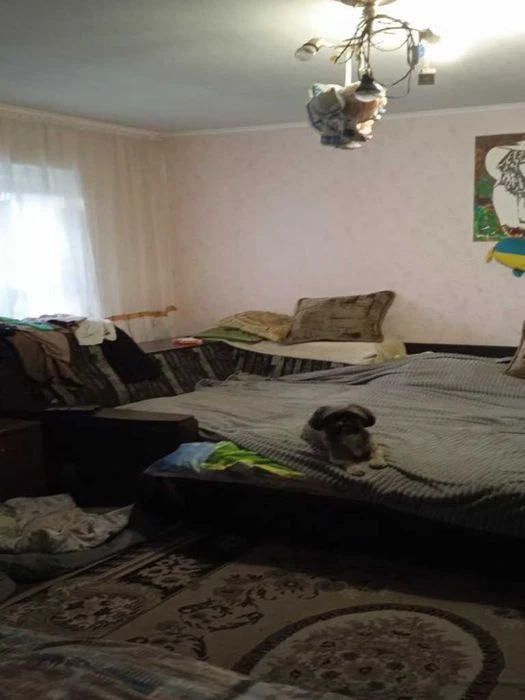 Продаж будинку | 60м² | 30 соток | жилий стан | передмістя П