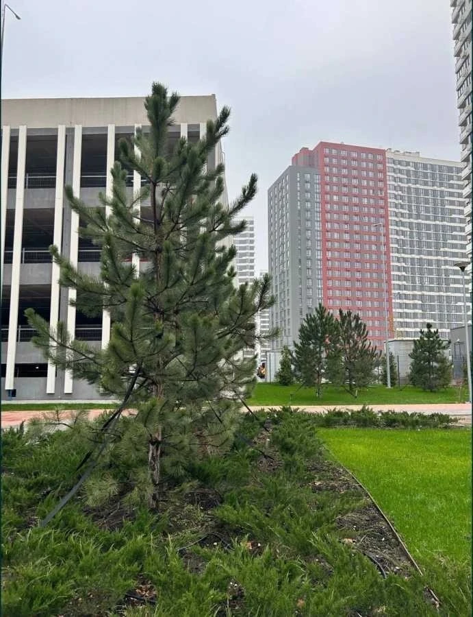 3-room apartment for sale 93 m², Vsevolod Zmienko St., Z