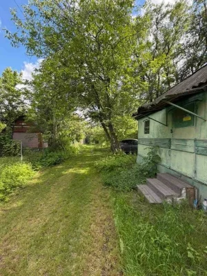 ‼️ Продаж ‼️ Дача в дубовому лісі