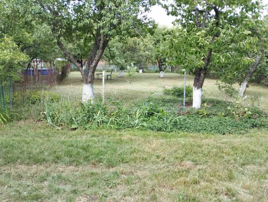 ‼️ Продаж ‼️ Дача в дубовому лісі