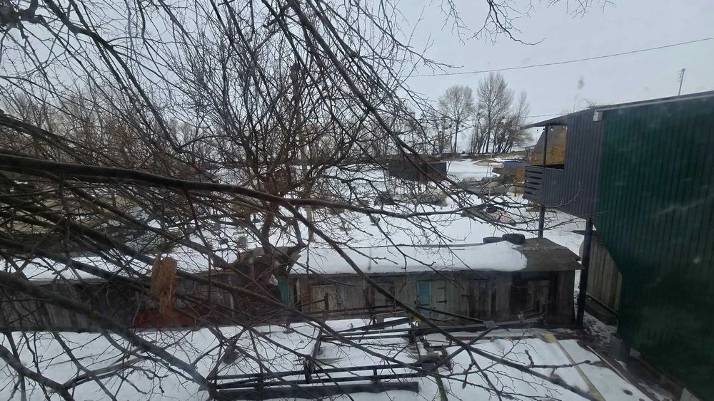 Гніздечко на причалі