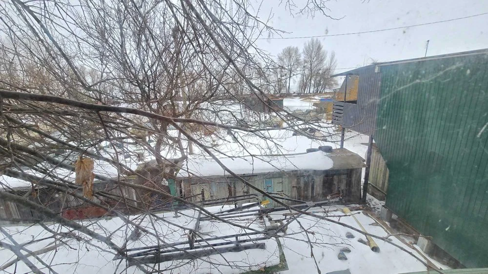 Гніздечко на причалі