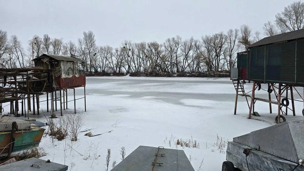 Гніздечко на причалі