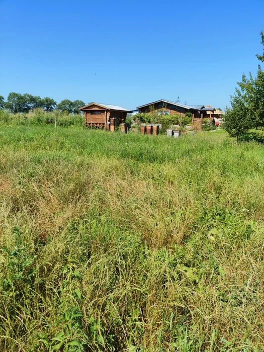 Продаж земельної ділянки сільськогосподарського призначення,