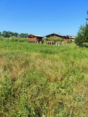Продаж земельної ділянки сільськогосподарського призначення,