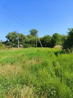 Продаж земельної ділянки сільськогосподарського призначення,