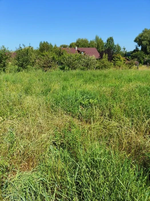 Продаж земельної ділянки сільськогосподарського призначення,
