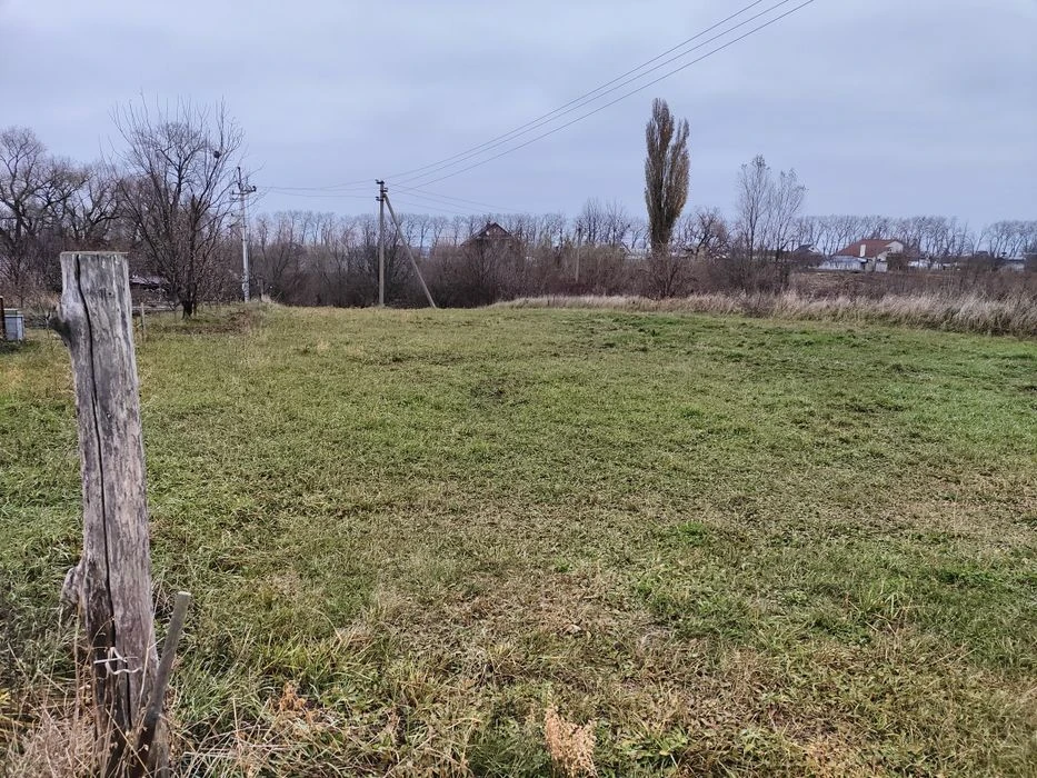 Продаж земельної ділянки сільськогосподарського призначення,