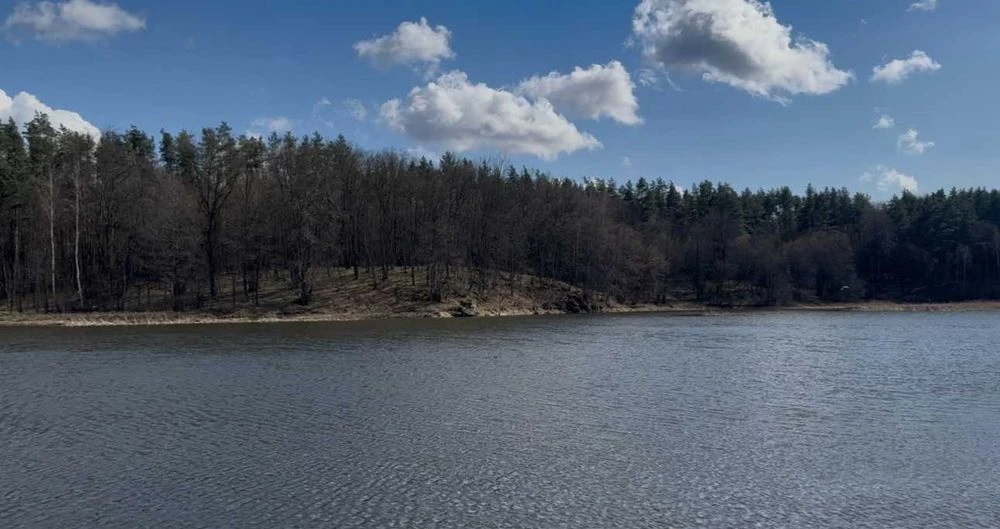 Земельна ділянка 1,7 га під басейн, глэмпінг Житомир