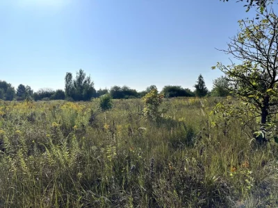 Земельна ділянка 10 соток – Житомир, р-н Крошня, масив Заозе
