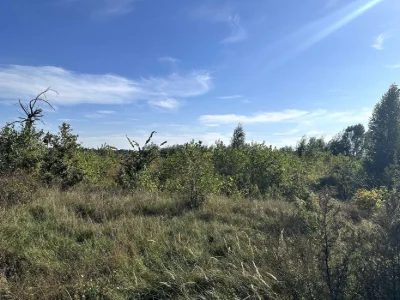 Земельна ділянка комерційного при-ня 3,74 га траса Киів-Чоп
