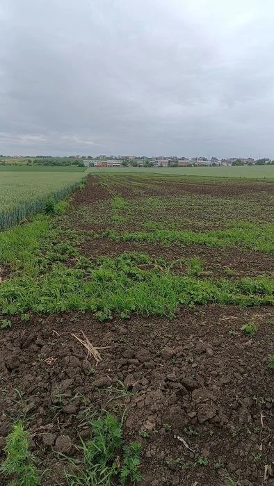 Продам земельну ділянку площею 1.52 Га в с. В. Гаї