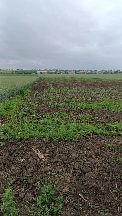 Продам земельну ділянку площею 1.52 Га в с. В. Гаї