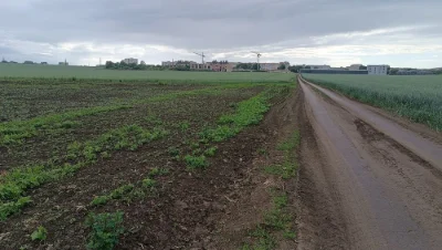 Продам земельну ділянку площею 1.52 Га в с. В. Гаї