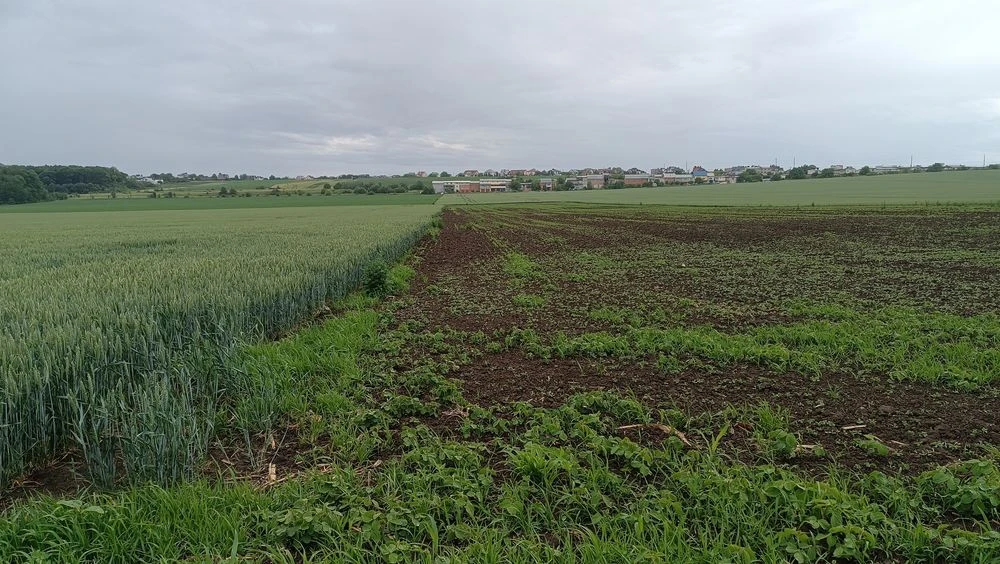 Продам земельну ділянку площею 1.52 Га в с. В. Гаї