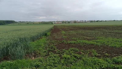 Продам земельну ділянку площею 1.52 Га в с. В. Гаї