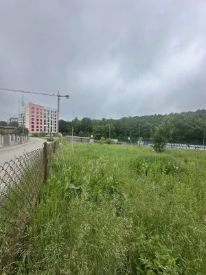 Продаж земельної ділянки під житлову забудову в Кутківцях